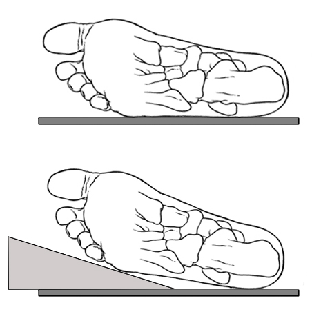 lateral ankle radiography