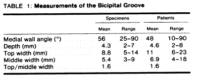 measurements of the bicipital groove