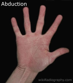 Hand/Wrist - wikiRadiography