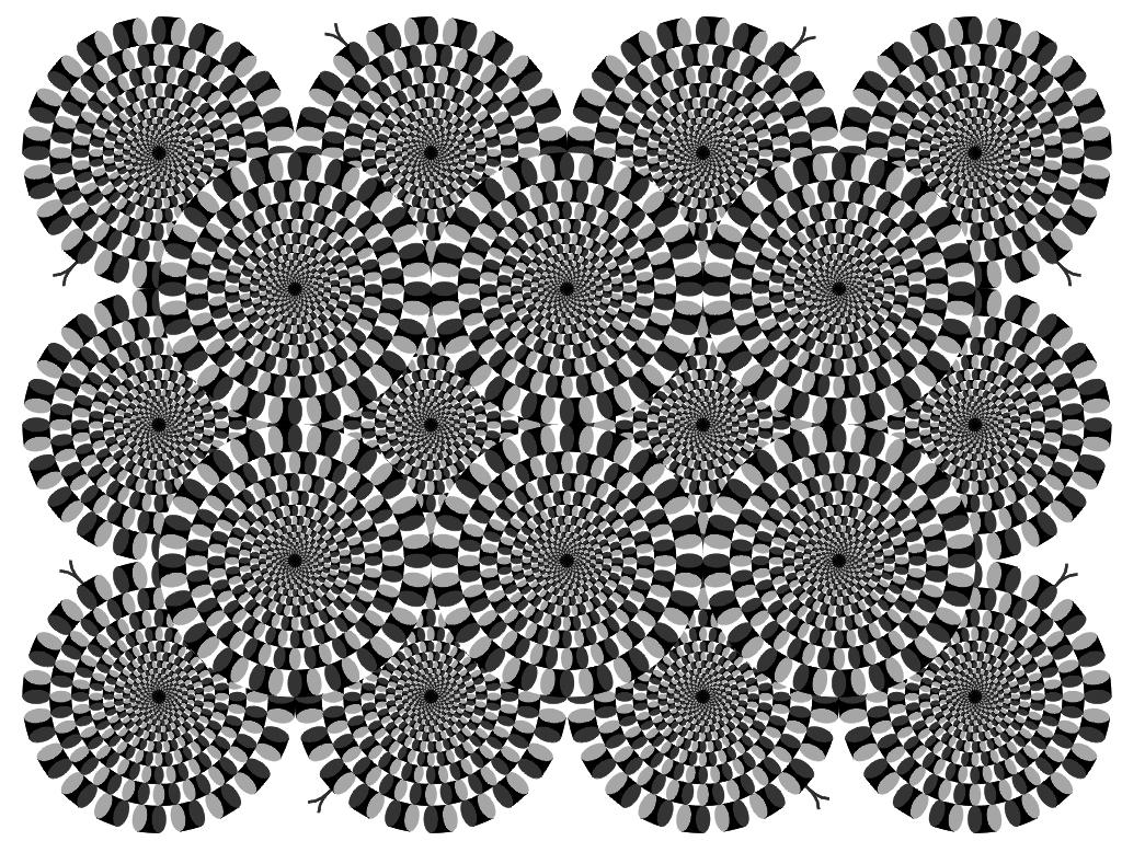 anomolous motion illusion