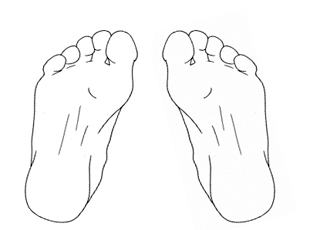 AP Pelvis Feet in Position