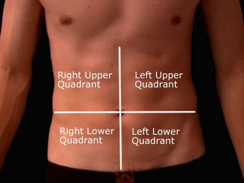 Abdomen - Surface Anatomy - Quadrants