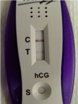 Pregnancy Testing - wikiRadiography
